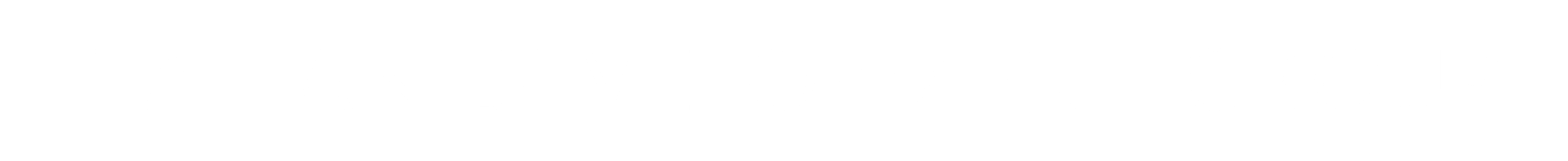 Italian Development Group Logo